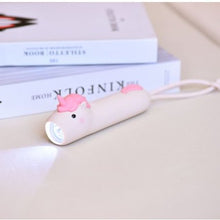 Load image into Gallery viewer, Lampe torche
