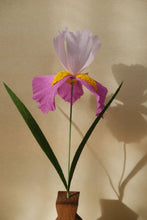 Charger l'image dans la galerie, Iris - Les fleurs de Justine
