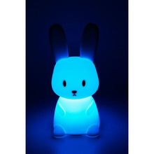 Charger l'image dans la galerie, Veilleuses Animaux
