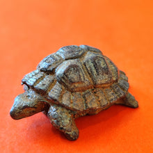 Load image into Gallery viewer, Tortues bronze
