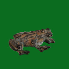 Load image into Gallery viewer, Mini grenouille bronze
