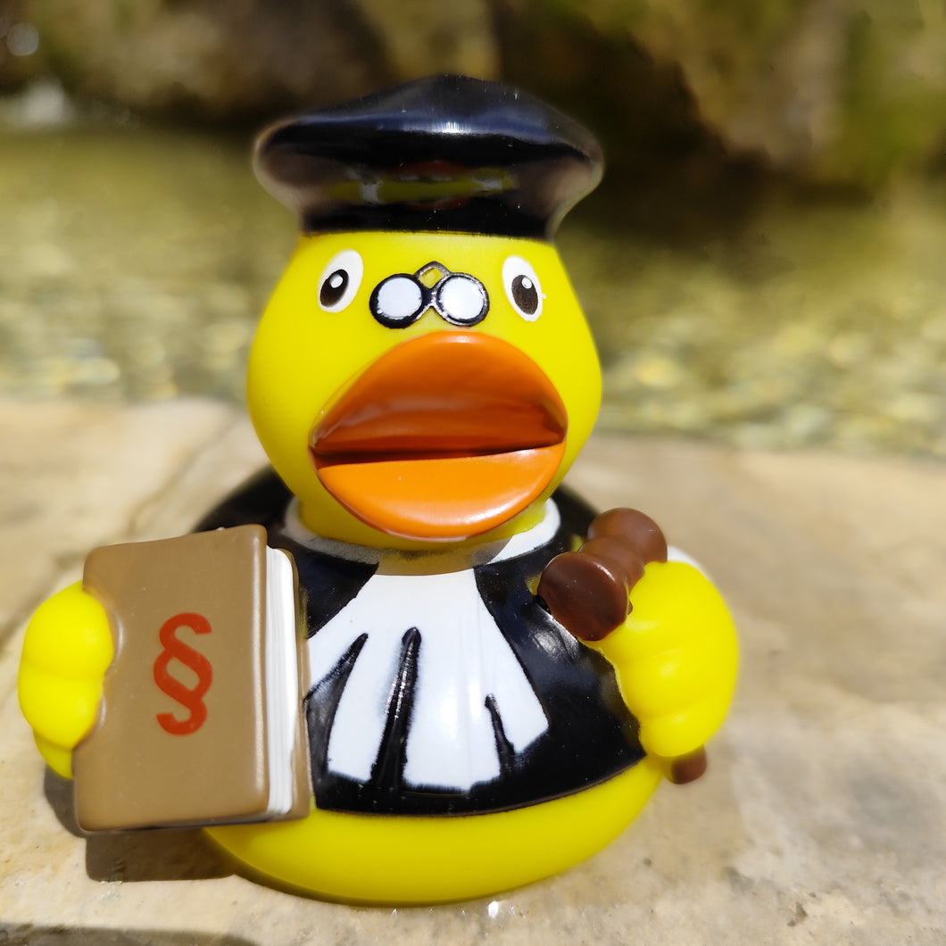 Canard La justice