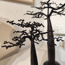 Charger l'image dans la galerie, Baobab Finfino Madagascar
