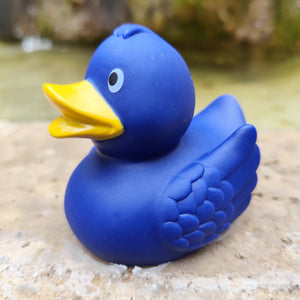 Canard Bleu marine