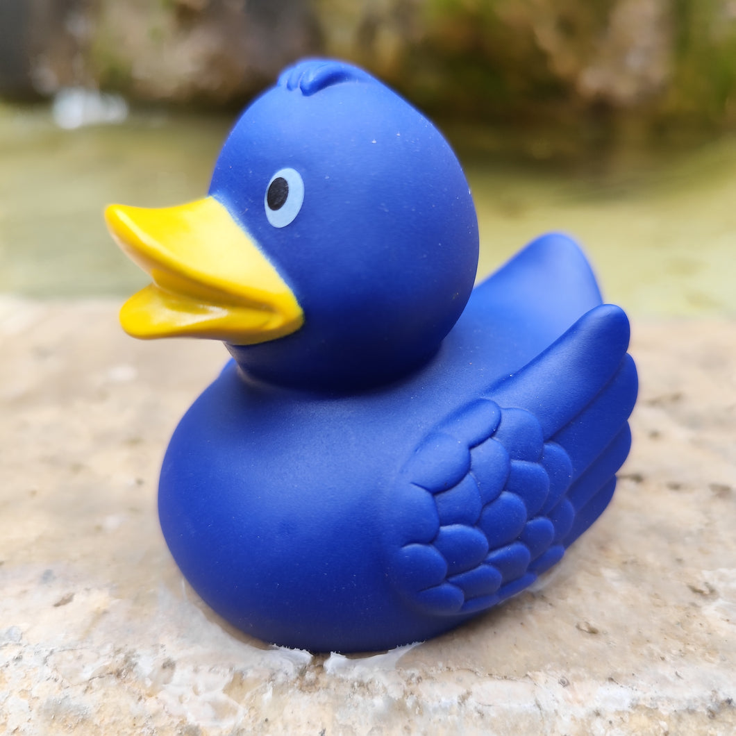 Canard Bleu marine