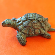 Load image into Gallery viewer, Tortues bronze
