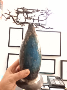 Baobab brut bleu