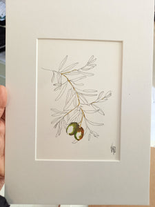 Branche d'olivier by Véronique Lecoq