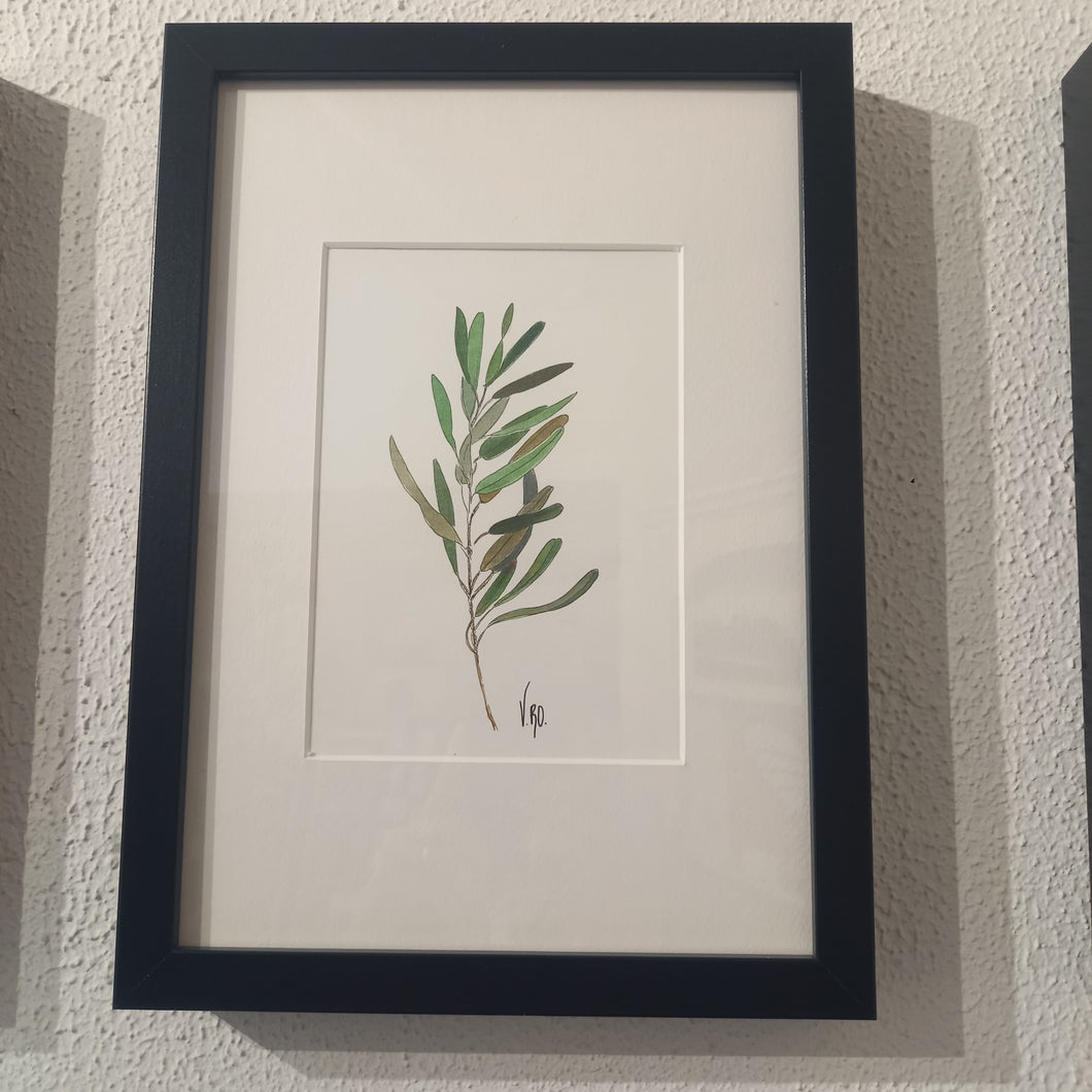 Branche d'olivier 2 by Véronique Lecoq