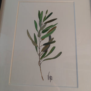 Branche d'olivier 2 by Véronique Lecoq
