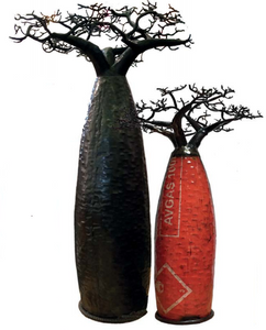 Baobab bombé